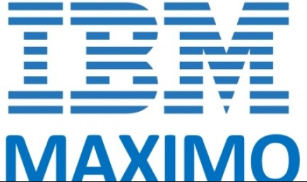 IBM brand logo 04 iron on paper